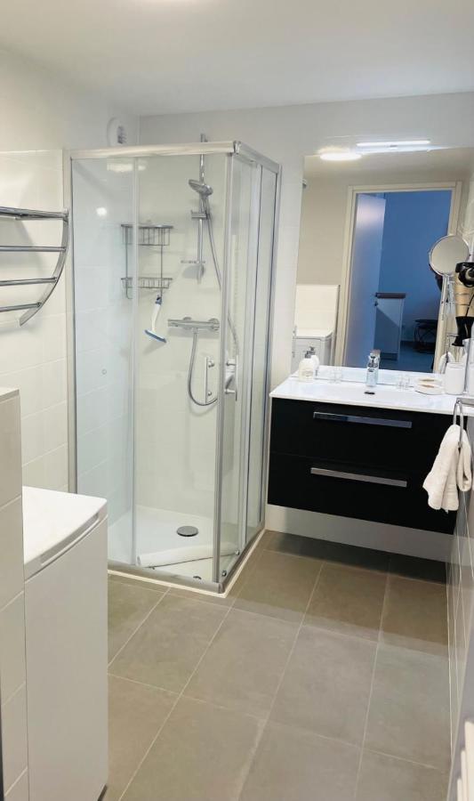 Le Quartz Tresum In A Modern Residence Near The Lake Garage Included Анси Экстерьер фото